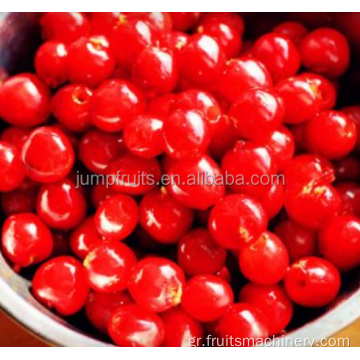 Εμπορική ή βιομηχανική χρήση Cherry Pitter Μηχανή